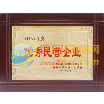 優(yōu)秀民營(yíng)企業(yè)