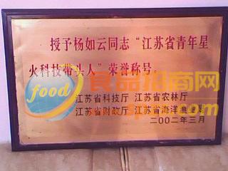 江蘇省先進(jìn)個(gè)人