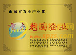 重點龍頭企業(yè)