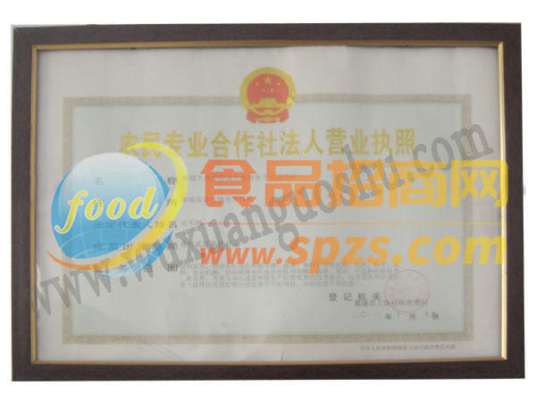 營(yíng)業(yè)執(zhí)照