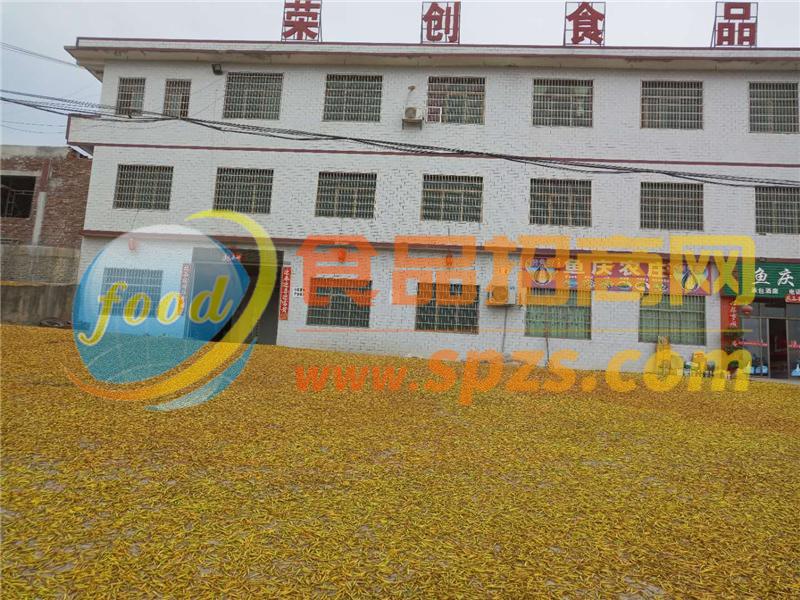 企業(yè)照片