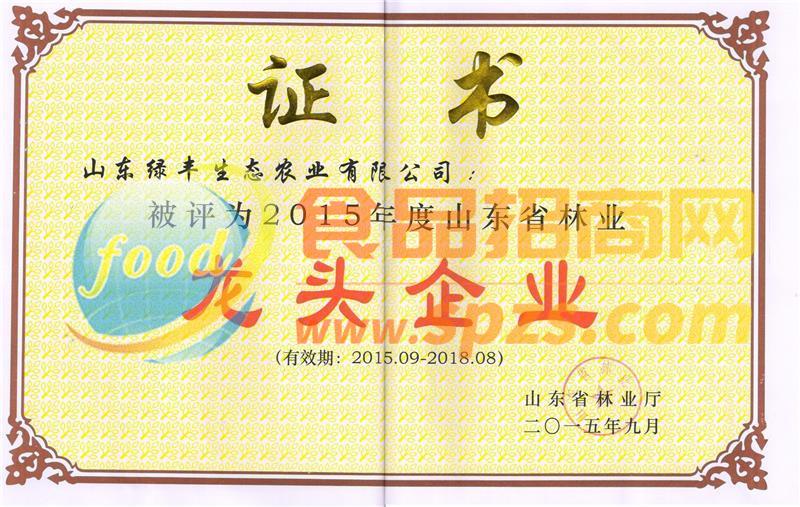 榮譽(yù)證書(shū)