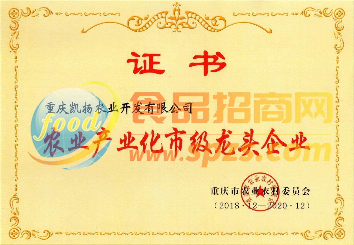 榮譽(yù)證書(shū)