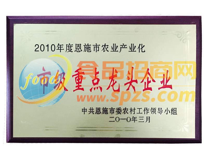 市級(jí)重點(diǎn)龍頭企業(yè)
