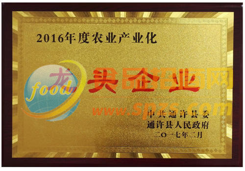 榮譽證書
