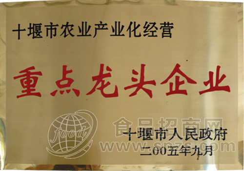 重点龙头企业