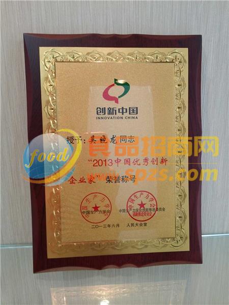 2013中国优秀创新企业家