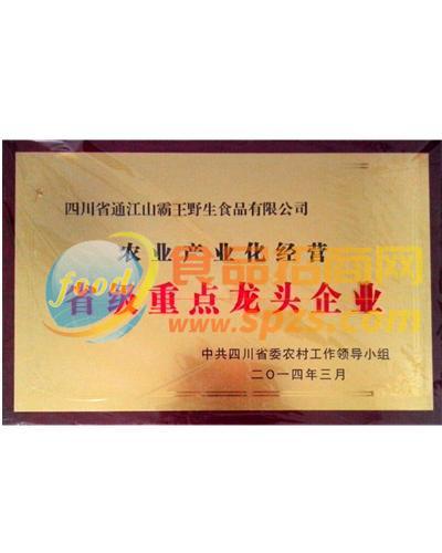 省级重点龙头企业