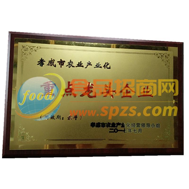 重点龙头企业荣誉