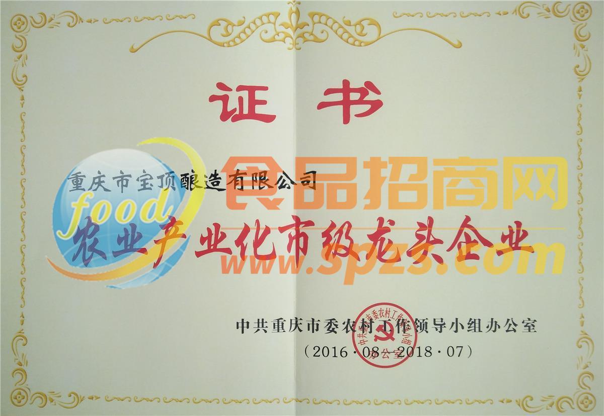 农业产业化市级龙头企业