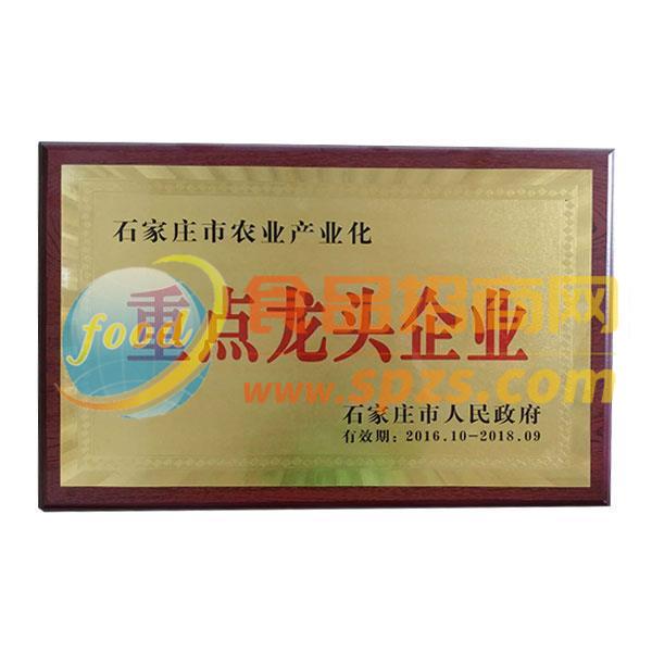 重点龙头企业2016年-2018年